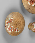 Mango Wood Hand - Painted Wall Hooks - Set of 3 - Silken