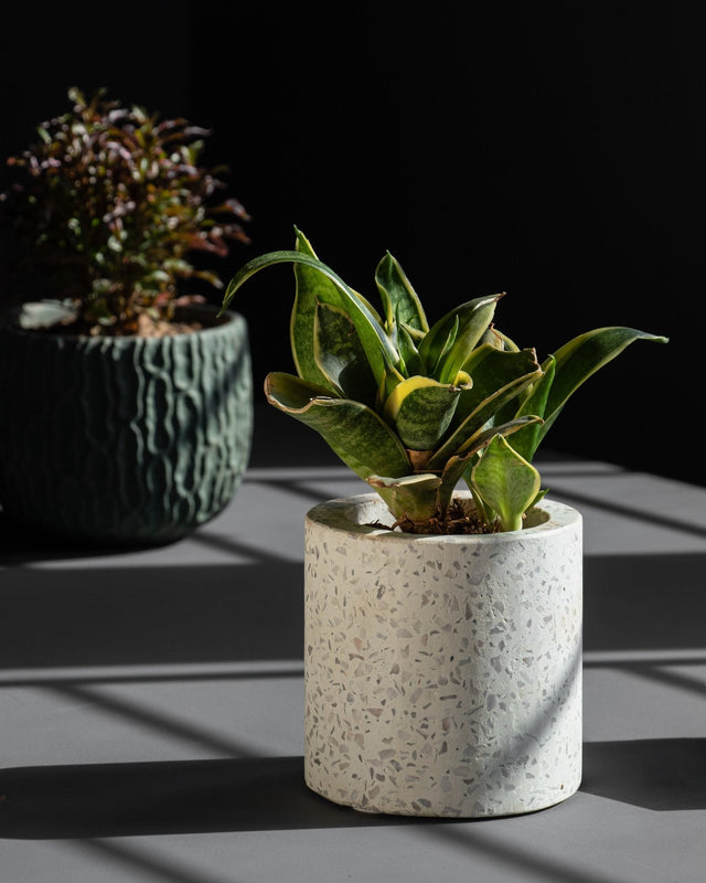 Terrazzo Planter Pot - Silken