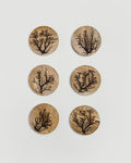 Wooden Lichtenberg Coasters - Silken