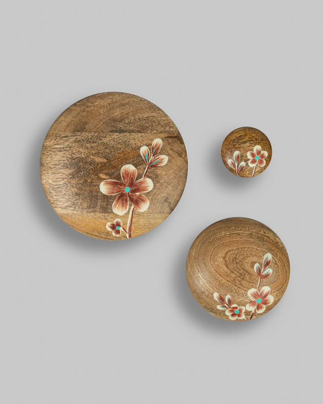 Mango Wood Hand-Painted Wall Hooks - Set of 3 - Silken